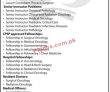 Today Govt Jobs In Pakistan Shaukat Khanum Memorial Cancer Hospital