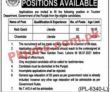 Tourism Department Announced Latest Management Pk Jobs 2021