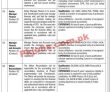 Transkarachi Pk Jobs 2021 | Transkarachi Company Headquarters Announced Management