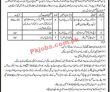 Transport Department Jobs 2022 | Directorate Of Transport & Civil