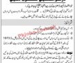 Transport Department Jobs 2023
