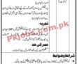 Transport Pk Jobs 2021 | Transport & Mass Transit Department