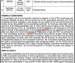 Trees Tsunami Project Jobs 2022 | Ten Billion Trees Tsunami