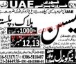 Uae latest jobs 2023
