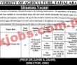 Uaf Jobs 2022 | University Of Agriculture Faisalabad Head Office