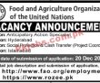 Un Pk Jobs 2021 | United Nations Food & Agriculture