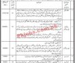 Undp Pk Jobs 2021 | United Nations Development Programme Undp
