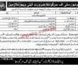 Uos Jobs 2023 | University Of Sargodha Headquarters Announced Latest Recruitments