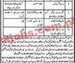 Uos Latest jobs 2023 | University Of Sargodha Uos Latest jobs 2023