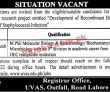 Uvas jobs 2022 | University Of Veterinary And Animal Sciences Uvas 