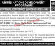 United Nations Development Programme (UNDP) PK Jobs 2021
