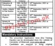 University Pk Jobs 2021 | University Of Mianwali Announced Faculty