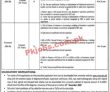 University Of Mianwali Jobs 2022 | University Of Mianwali Headquarters