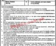 University Of The Punjab Announced Management Support Staff Pk Jobs