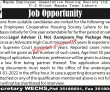 Wapda Jobs 2022 | Wapda Employees Cooperative Housing Society Head