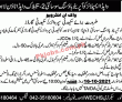 Wapda Pk Jobs 2021 | Wapda Employees Cooperative Housing Society