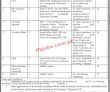Wapda Pk Jobs 2021 | Water & Power Department Announced