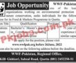 Wwf Jobs 2022 | World Wildlife Fund Wwf Pakistan Regional