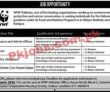 Wwf Pakistan Jobs 2023