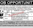 Wwf Pakistan latest Jobs 2023
