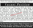 Wapda Employees Cooperative Housing Society Management Pk Jobs 2021