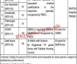 Wapda Hospital Jobs 2023 | Wapda Hospital Headquarters Announced Latest
