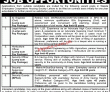 Wapda Housing Jobs 2022 | Wapda Employees Cooperative Housing Society