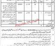 Welfare Jobs 2022 | Pakistan Bait Ul Mal Headquarters Announced