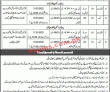 Welfare Jobs 2022 | Pakistan Bait Ul Mal & Social