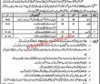 Welfare Jobs 2022 | Pakistan Bait Ul Mal & Social