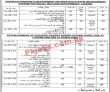 Welfare Jobs 2022 | Pakistan Bait Ul Mal & Social