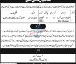 Welfare Jobs 2022 | Population Welfare Department Headquarters Announced Latest