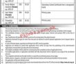 Welfare Pk Jobs 2021 | Directorate General Population Welfare Department