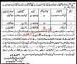 Welfare Pk Jobs 2021 | Population Welfare Department Announced Latest