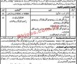 Welfare Pk Jobs 2021 | Population Welfare Department Announced Social