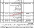 Wildlife Division Announced Latest Management PK Jobs 2021