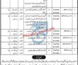 Wildlife Jobs 2022 | Ministry Of Forestry & Wildlife Headquarters