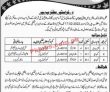 Wildlife Jobs 2022 | Ministry Of Wildlife & Fisheries Department