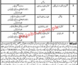 Women Development Advisory Committee PK Jobs 2021
