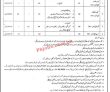 Women Development Jobs 2022 | Directorate Of Women Development Head Office