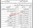 Women Development Pk Jobs 2021 | Women Development & Welfare