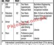 World Bank Funded Project Announced Management Pk Jobs 2021
