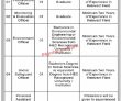 World Bank Funded Project Jobs 2023