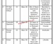 World Bank Funded Project Management PK Jobs 2021