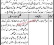 World Bank Pk Jobs 2021 | Pdma Pk Jobs 2021