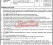 Youth Affairs Jobs 2022 | Directorate Of Youth Affairs Head