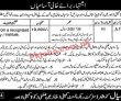 Zakat Committee Announced Latest PK Jobs 2021