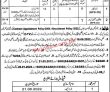 Zakat & Ushr Department Headquarters Announced Latest Management Support Staff