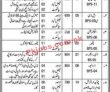 Govt Jobs Today Ministry Of Religious Affairs And Interfaith Harmony