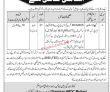Govt Jobs Today Pakistan Army Jobs 2022 Pk Jobs